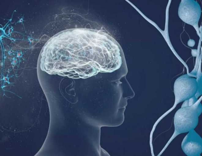 Neurology