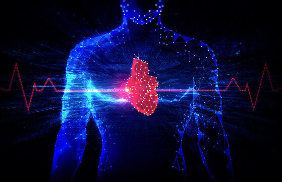 Cardiology Program